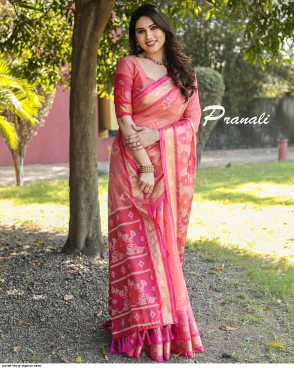 PRANALI HEAVY ORGANZA SAREE AMAZING CATALOGUE 2023