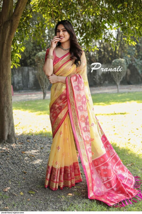 PRANALI HEAVY ORGANZA SAREE AMAZING CATALOGUE 2023