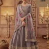 VINAY NOORMAHAL DOLA SILK GOWN AMAZING CATALOGUE 2023