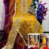 2023 10 31 18 36 28 dinsaa hit design 173 colours dinsaa suits pakistani wholesaleprice 173 a open.jpeg