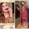 2023 10 31 18 36 28 dinsaa hit design 173 colours dinsaa suits pakistani wholesaleprice 173 b.jpeg