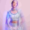 b 2024 03 16 16 38 03 bridal heritage alizeh lehenga wholesale cover.jpeg