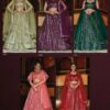 2022 06 27 18 21 49 rang rangeeli 31 senhora dresses wholesaleprice catalog.jpeg