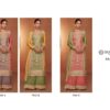 2024 03 28 15 01 17 saheli gulkayra designer sharara wholesaleprice catalog.jpeg