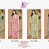 2024 04 27 18 26 15 dinsaa hit design 240 colours dinsaa suits pakistani wholesaleprice catalog.jpeg