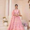 2024 04 30 18 33 13 non catalog 5 pc lehenga wholesaleprice 52.jpeg