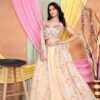 2024 05 09 13 07 05 non catalog 6 pc lehenga wholesaleprice 02.jpeg