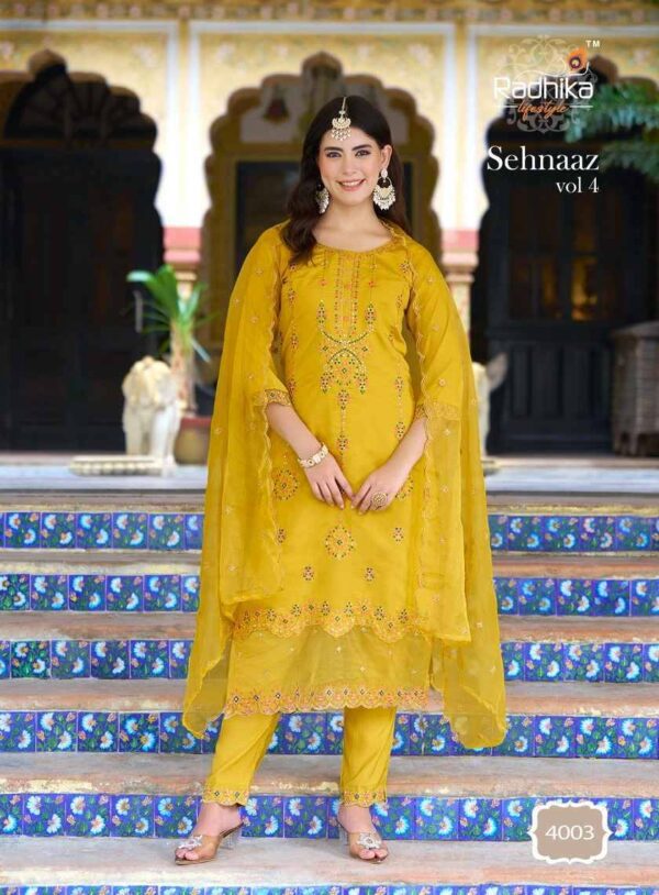 2024 09 23 16 38 29 sehnaaz 4 radhika lifestyle dresses wholesaleprice 4003.jpeg