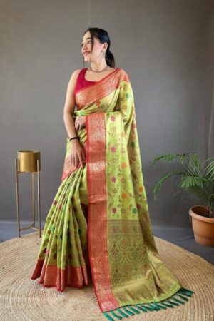 pr sabri traditional organza tissue silk saree in wholesale surat