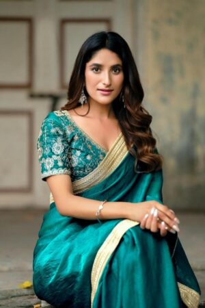 lt fashion silver stone vol 31 series 3101 to 3106 malai silk luxurious sarees in wholesale surat