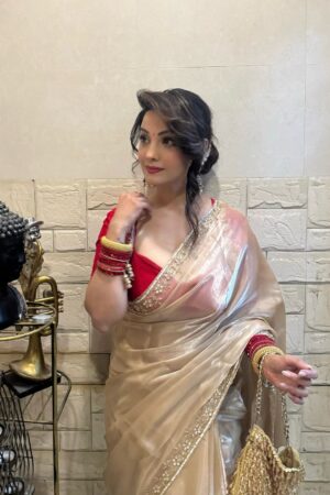 N 5523 Designer Handwork Bollywood Style Saree Collection Rehmat Boutique