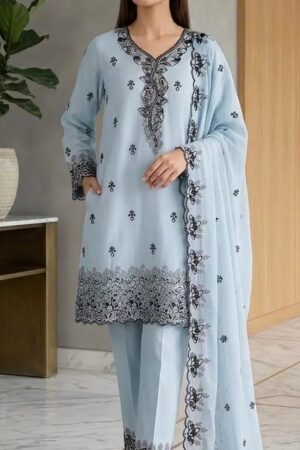 Hoor Tex 835 A To D Georgette Salwar Kameez Collection Rehmat Boutique