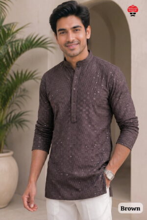 Chikankari Vol 2 Rayon Chikankari Mens Short Kurta Rehmat Boutique