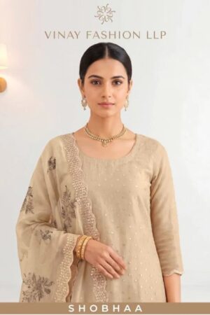 Vinay Kuleesh Shobhaa Zarkhan Work Salwar Kameez Wholesale Price Rehmat Boutique
