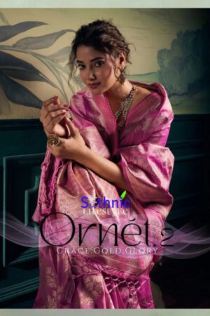 Sethnic Ornet Vol 2 Two Tone Banarasi Silk Saree Collection Rehmat Boutique
