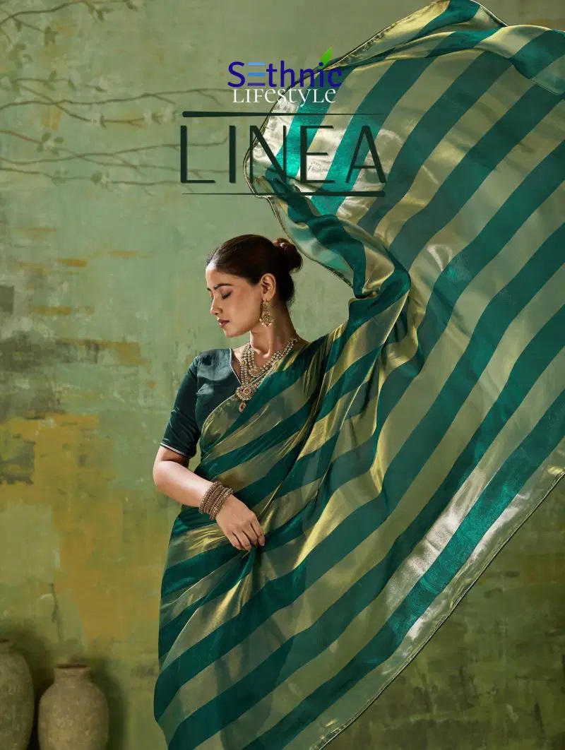 1784216823 Sethnic Linea Velvet Gold Patta Festive Wear Saree Online Rehmat Boutique Sethnic Linea Velvet Gold Patta Festive Wear Saree Online Rehmat Boutique